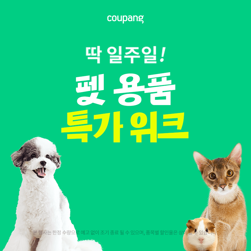 특가로 만나는 사랑스러운 반려동물용품! 🐾